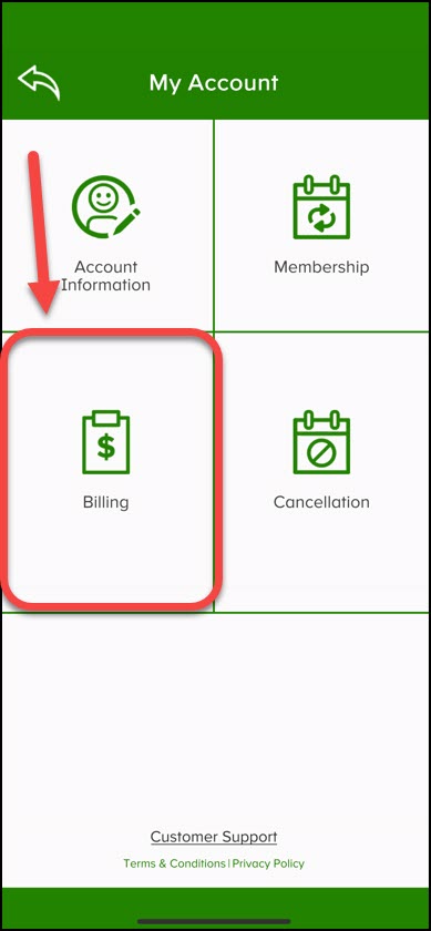 ABCmouse 1 My Account screen pointing the billing tab.jpg