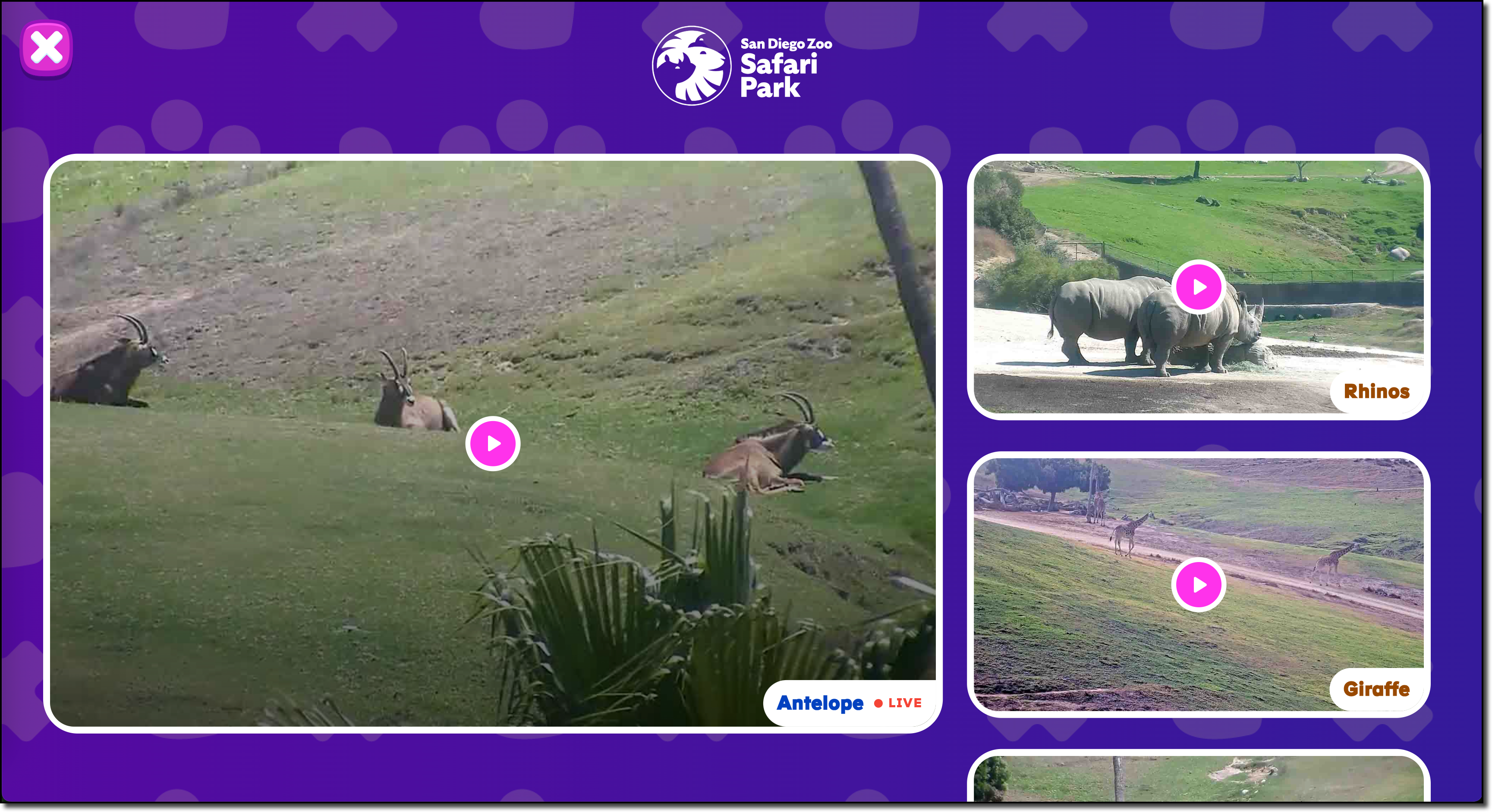 SD Zoo Safari Park cameras.png